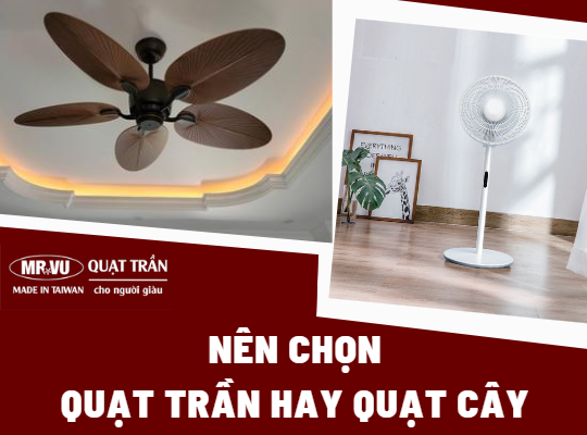 nên chọn quạt trần hay quạt cây