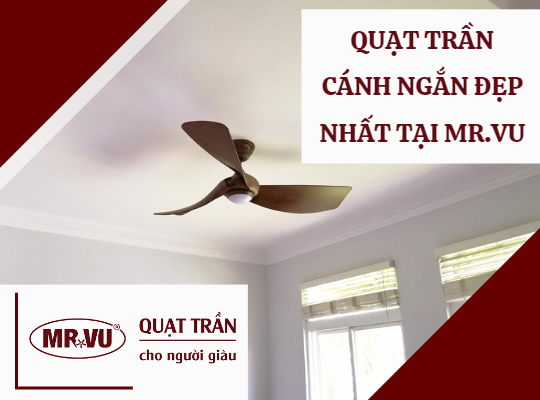 quat tran canh ngan