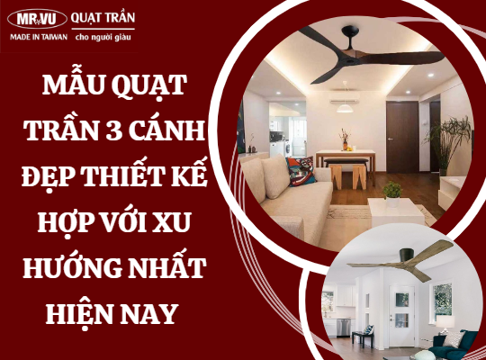 quat tran 3 canh dep