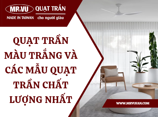 quat tran mau trang