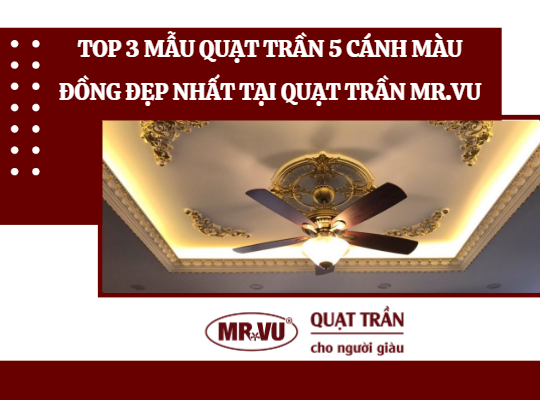 Top 3 mau quat tran 5 canh mau dong dep nhat tai Quat tran Mr.Vu