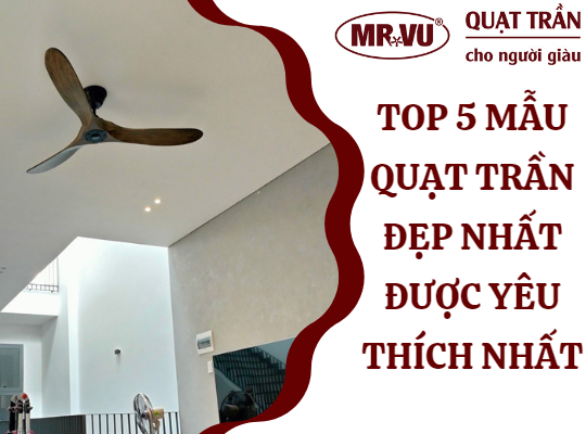 Top 5 mau quat tran dep nhat duoc yeu thich nhat