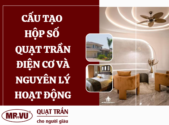 hop so qua tran dien co